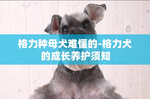 格力種母犬難懂的-格力犬的成長養護須知