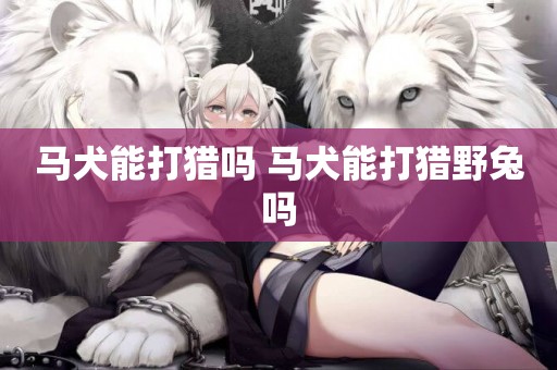 馬犬能打獵嗎 馬犬能打獵野兔嗎
