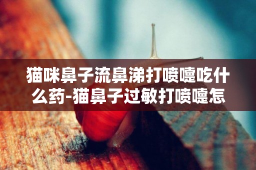 貓咪鼻子流鼻涕打噴嚏吃什么藥-貓鼻子過敏打噴嚏怎么辦吃什么藥好