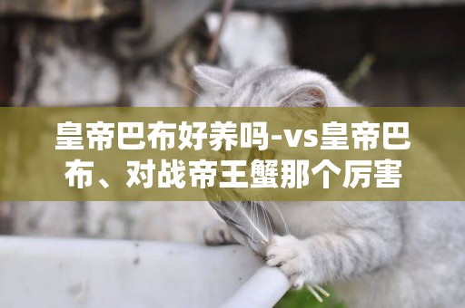 皇帝巴布好養嗎-vs皇帝巴布、對戰帝王蟹那個厲害