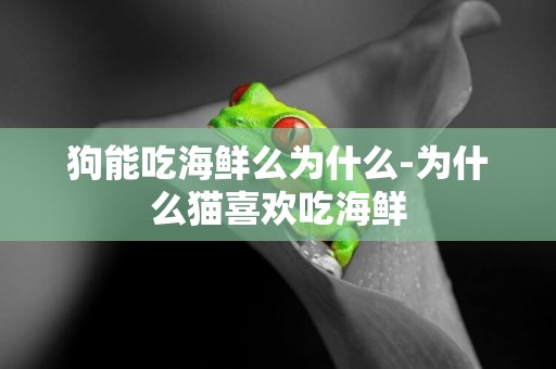 狗能吃海鮮么為什么-為什么貓喜歡吃海鮮