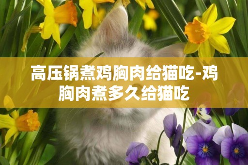高壓鍋煮雞胸肉給貓吃-雞胸肉煮多久給貓吃