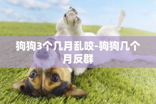 狗狗3個幾月亂咬-狗狗幾個月反群