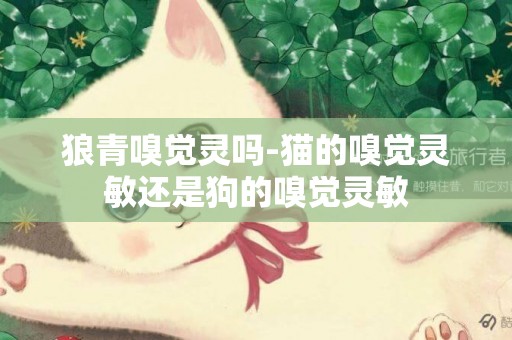 狼青嗅覺靈嗎-貓的嗅覺靈敏還是狗的嗅覺靈敏