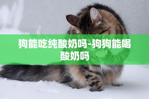 狗能吃純酸奶嗎-狗狗能喝酸奶嗎