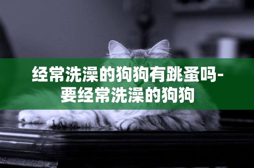 經常洗澡的狗狗有跳蚤嗎-要經常洗澡的狗狗