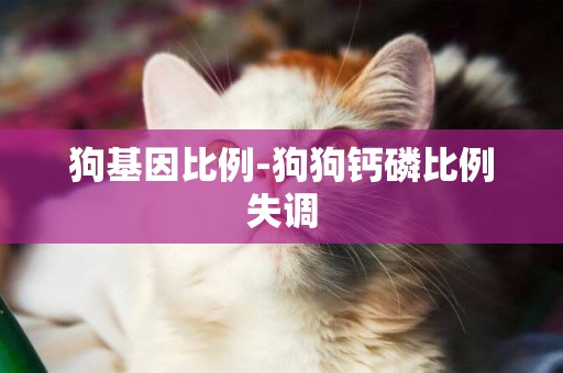 狗基因比例-狗狗鈣磷比例失調