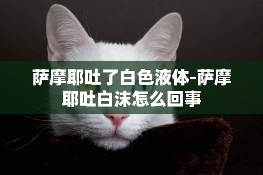 薩摩耶吐了白色液體-薩摩耶吐白沫怎么回事
