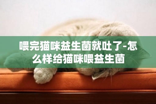 喂完貓咪益生菌就吐了-怎么樣給貓咪喂益生菌