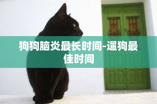 狗狗腦炎最長時間-遛狗最佳時間