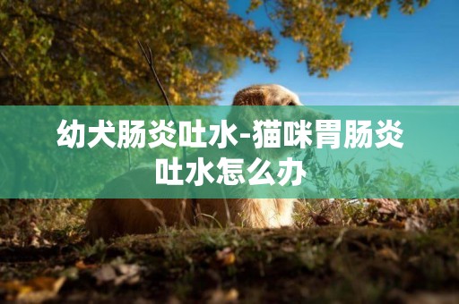 幼犬腸炎吐水-貓咪胃腸炎吐水怎么辦