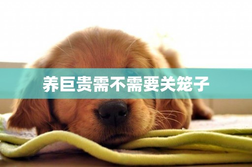 養巨貴需不需要關籠子