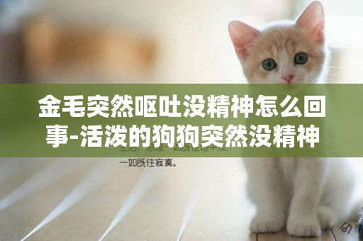 金毛突然嘔吐沒精神怎么回事-活潑的狗狗突然沒精神怎么回事