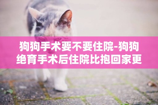 狗狗手術要不要住院-狗狗絕育手術后住院比抱回家更安全
