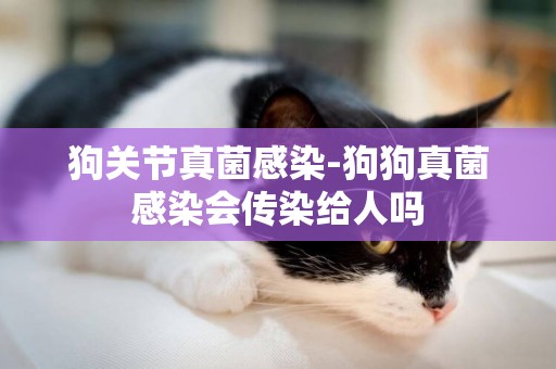狗關節真菌感染-狗狗真菌感染會傳染給人嗎