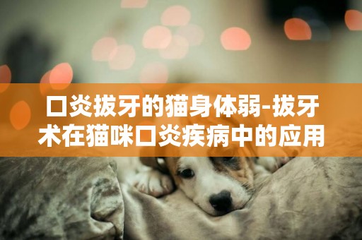 口炎拔牙的貓身體弱-拔牙術在貓咪口炎疾病中的應用