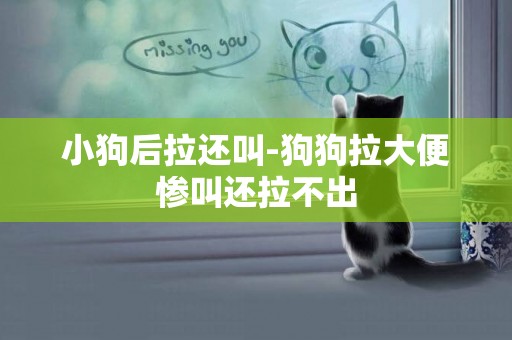小狗后拉還叫-狗狗拉大便慘叫還拉不出