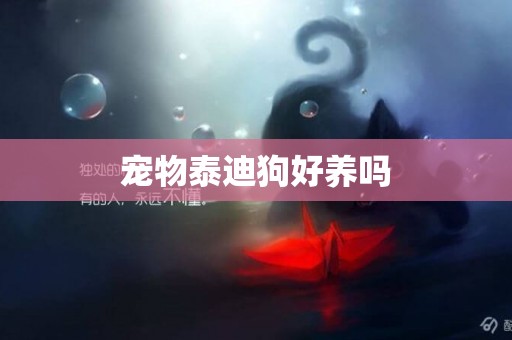 寵物泰迪狗好養嗎