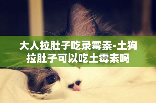 大人拉肚子吃錄霉素-土狗拉肚子可以吃土霉素嗎