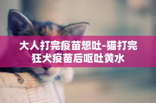 大人打完疫苗想吐-貓打完狂犬疫苗后嘔吐黃水