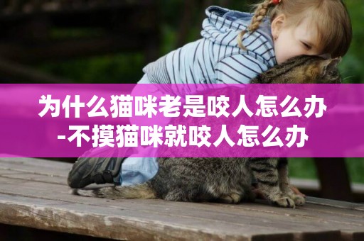 為什么貓咪老是咬人怎么辦-不摸貓咪就咬人怎么辦