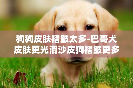 狗狗皮膚褶皺太多-巴哥犬皮膚更光滑沙皮狗褶皺更多