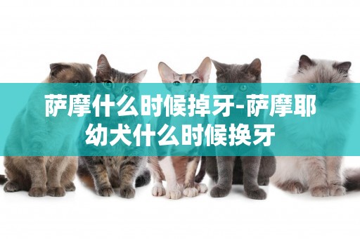 薩摩什么時候掉牙-薩摩耶幼犬什么時候換牙