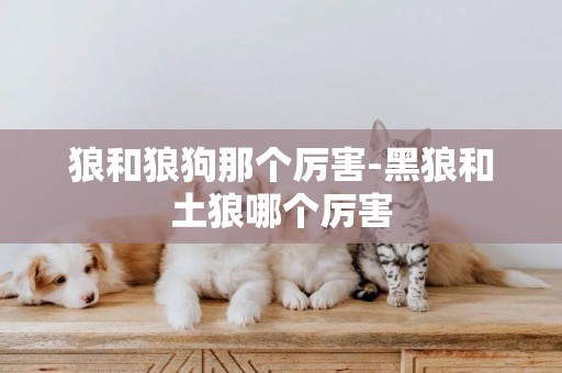 狼和狼狗那個厲害-黑狼和土狼哪個厲害