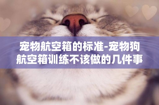 寵物航空箱的標準-寵物狗航空箱訓練不該做的幾件事
