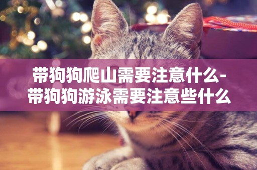 帶狗狗爬山需要注意什么-帶狗狗游泳需要注意些什么