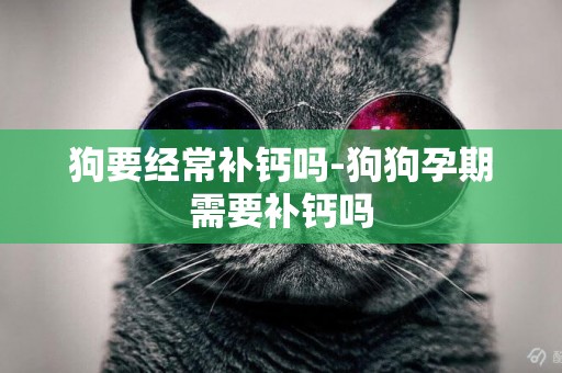狗要經常補鈣嗎-狗狗孕期需要補鈣嗎