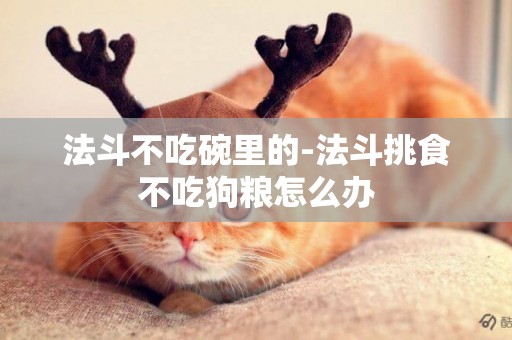 法斗不吃碗里的-法斗挑食不吃狗糧怎么辦
