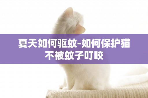 夏天如何驅蚊-如何保護貓不被蚊子叮咬