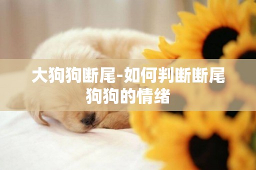 大狗狗斷尾-如何判斷斷尾狗狗的情緒