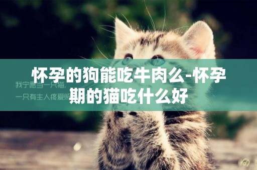 懷孕的狗能吃牛肉么-懷孕期的貓吃什么好