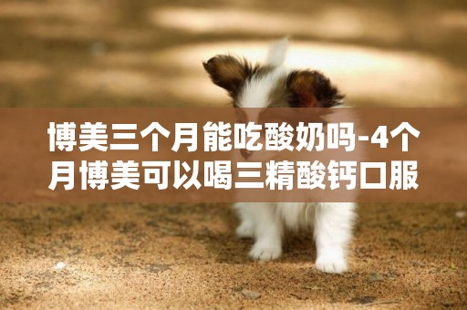 博美三個月能吃酸奶嗎-4個月博美可以喝三精酸鈣口服液嗎