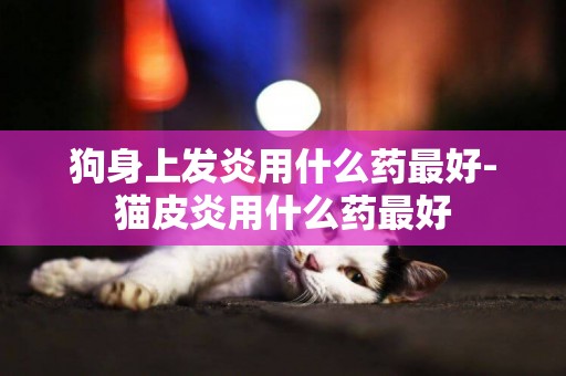 狗身上發炎用什么藥最好-貓皮炎用什么藥最好