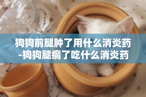 狗狗前腿腫了用什么消炎藥-狗狗腿瘸了吃什么消炎藥