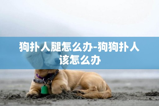 狗撲人腿怎么辦-狗狗撲人該怎么辦