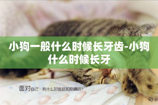 小狗一般什么時候長牙齒-小狗什么時候長牙