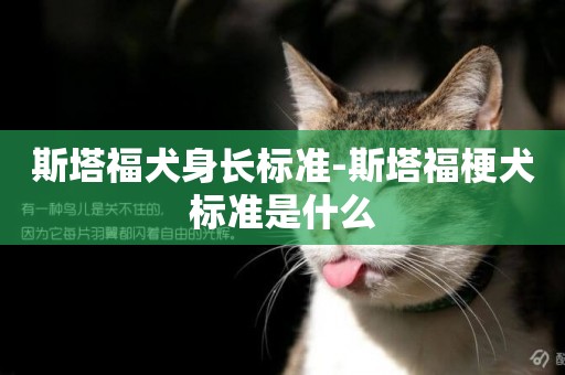 斯塔福犬身長標準-斯塔福梗犬標準是什么