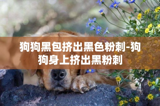 狗狗黑包擠出黑色粉刺-狗狗身上擠出黑粉刺