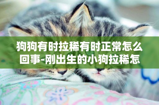 狗狗有時拉稀有時正常怎么回事-剛出生的小狗拉稀怎么回事