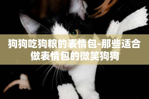 狗狗吃狗糧的表情包-那些適合做表情包的微笑狗狗