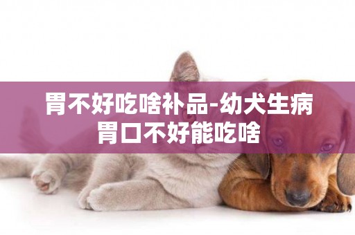 胃不好吃啥補品-幼犬生病胃口不好能吃啥