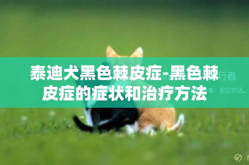 泰迪犬黑色棘皮癥-黑色棘皮癥的癥狀和治療方法