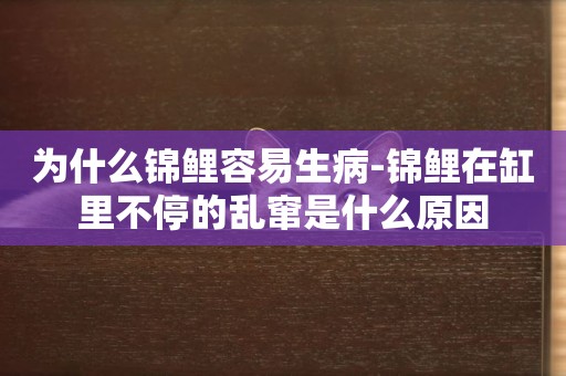 為什么錦鯉容易生病-錦鯉在缸里不停的亂竄是什么原因
