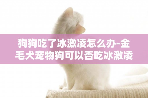 狗狗吃了冰激凌怎么辦-金毛犬寵物狗可以否吃冰激凌