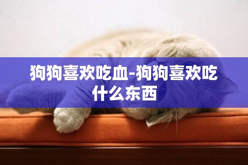 狗狗喜歡吃血-狗狗喜歡吃什么東西