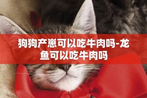 狗狗產崽可以吃牛肉嗎-龍魚可以吃牛肉嗎